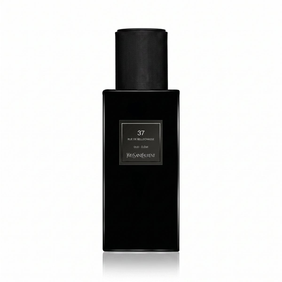 Yves Saint Laurent Yves Saint Laurent 37 Rue de Bellechasse Oud Élémi